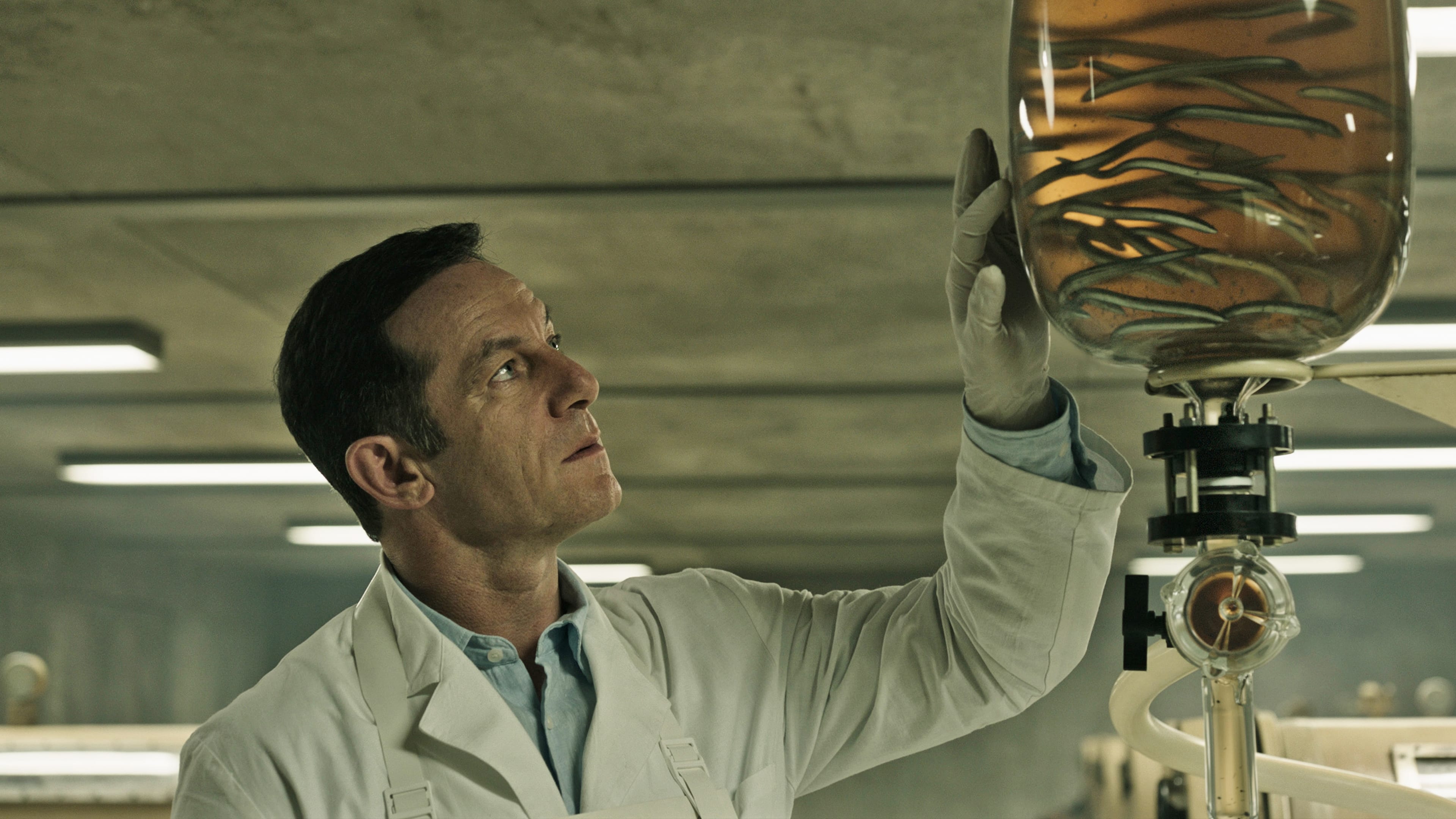 1FccGIVO25JzdUOg2Lw8ensZJ7a-4165535403